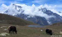 Annapurna circuit trek